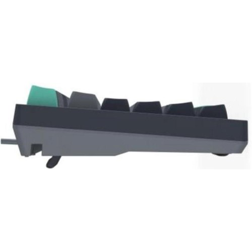 Клавіатура дротова A4Tech FS300 (Panda Rock Climbing)