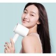 Фен Xiaomi Mi Ionic Hair Dryer H300