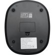 Ваги кухоннi Esperanza EKS008 Kitchen Scale Lychee, з чашею 2л, прямокутні, нержавіюча сталь, вага до 5кг