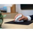 Миша бездротова Trust Verto Ergonomic Wireless Mouse White (25132)