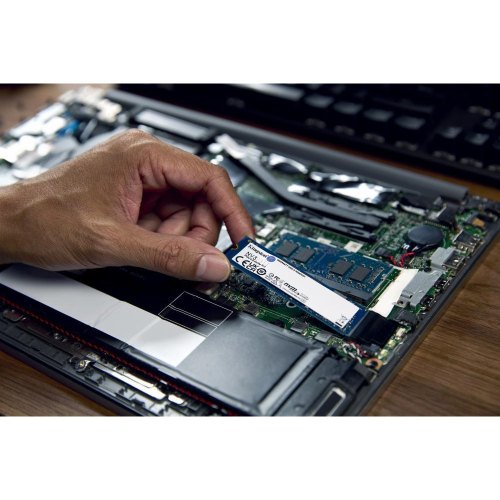 Накопичувач SSD M.2 2280 Kingston NV3 500GB PCI-E 3D NAND NVMe x4 (SNV3S/500G)