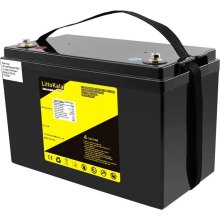 Акумуляторна батарея LiitoKala, LiFePO4, 12V/150Ah