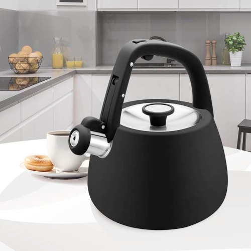 Чайник Maestro MR-1318, 5.5л, нержавіюча сталь, термостійка ручка,термоакумулююче дно