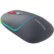 Миша бездротова Canyon MW-22 Dual Band RGB Wireless Dark Grey (CNS-CMSW22DG)