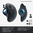 Миша бездротова Logitech Ergo M575 Mouse Graphite (910-006221)