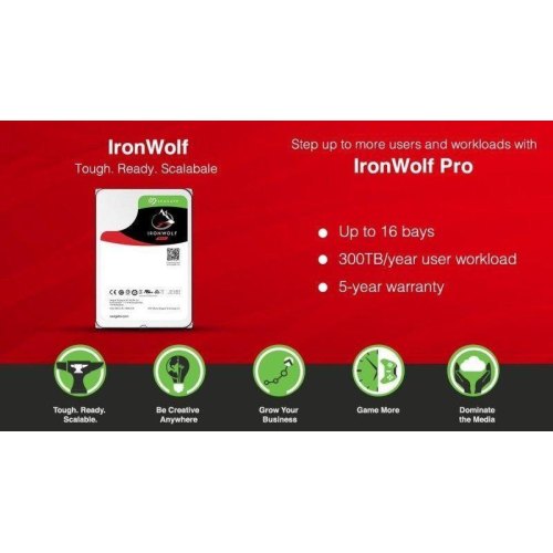 Жорсткий диск Seagate IronWolf Pro 6TB SATA 7200rpm 256MB (ST6000NT001)