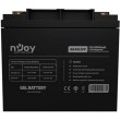 Акумуляторна батарея Njoy GE4012FF, GEL, 12V, 40Ah (BTVGCDTOMTCFFCN01B)