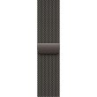 Смарт годинник Apple Watch Series 10 GPS + Cellular 42mm Slate Titanium Case with Slate Milanese Loop **