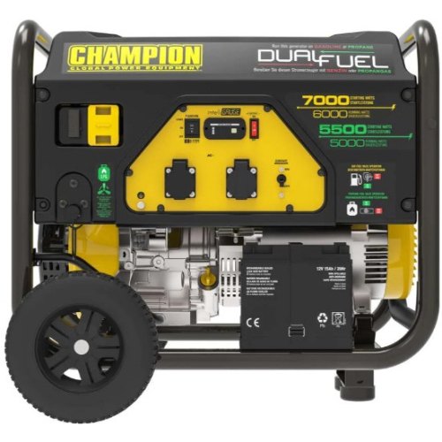 Генератор газобензиновий Champion 7кВт (CPG7500E2-DF-EU)