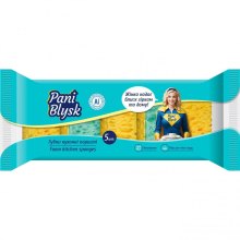 Губки кухонні Pani Blysk, пористі, 5шт (4823071661194)