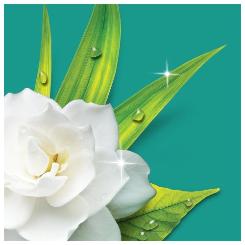 Засіб для миття підлоги Mr.Proper, з ароматом Ранкова роса, 1.5л (8006540208472)