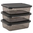 Набір пластикових контейнерів Herevin STYLE GREY, 3шт, прямокутний, 0.6л (162331-012)