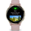 Смартгодинник Garmin Venu 3S Soft Gold S. Steel Bezel w. Dust Rose Case and S. Band (010-02785-03)