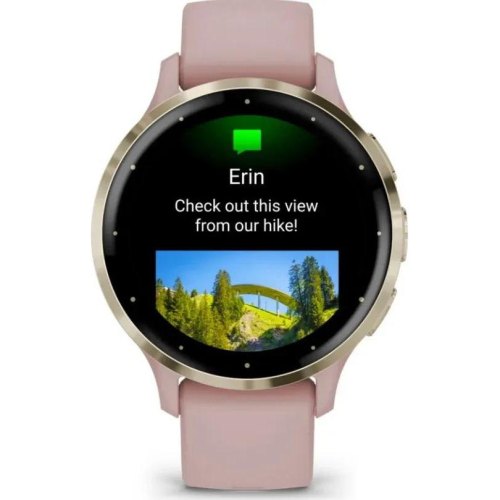 Смартгодинник Garmin Venu 3S Soft Gold S. Steel Bezel w. Dust Rose Case and S. Band (010-02785-03)