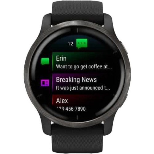 Смартгодинник Garmin Venu 2 Slate Stainless Steel Bezel with Black Case and Silicone Band (010-02430-11/01)