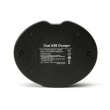 Зарядний пристрій для акумуляторів PowerPlant Dual, для Canon LP-E6 (DV00DV3924)