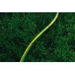 Шланг садовий 2Е AquaFlex Green, 1/2, 20м, 3 шари, 10бар (2E-GHE12GN20)