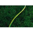 Шланг садовий 2Е AquaFlex Green, 1/2, 12м, 3 шари, 10бар (2E-GHE12GN12)
