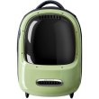Рюкзак-переноска PETKIT Breezy 2 Cat Carrier Green (P7704 GREEN)