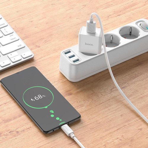 Мережевий зарядний пристрій Hoco C106A Leisure, кабель Micro USB, 10.5W, White (6931474783905)