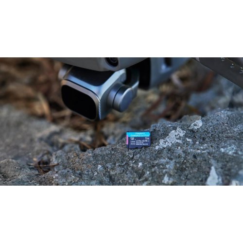 Карта пам'яті Kingston Canvas Go Plus Gen4, 256GB, microSDXC, A2 U3 V30, 200MB/s, SD-адаптер (SDCG4/256GB)