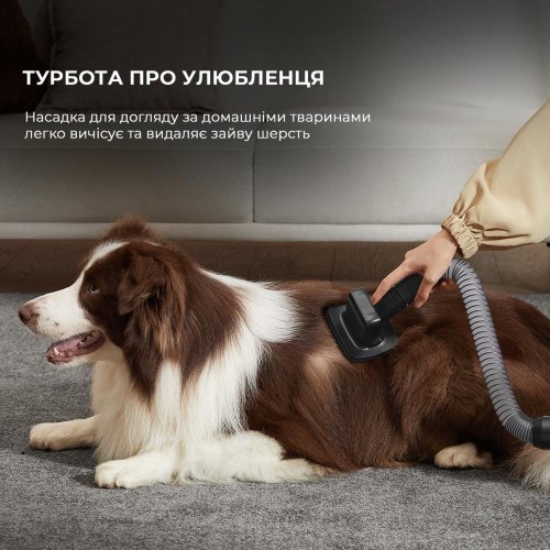 Пилосос акумуляторний Dreame Z30 (VZV17A)
