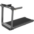 Бігова доріжка електрична KingSmith WalkingPad X214 (WP460B4)