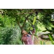 Сучкоріз акумуляторний Ryobi ONE+ OLP1832BX, 32мм, 250Нм, без акумулятора та зарядного пристрою (5133004392)