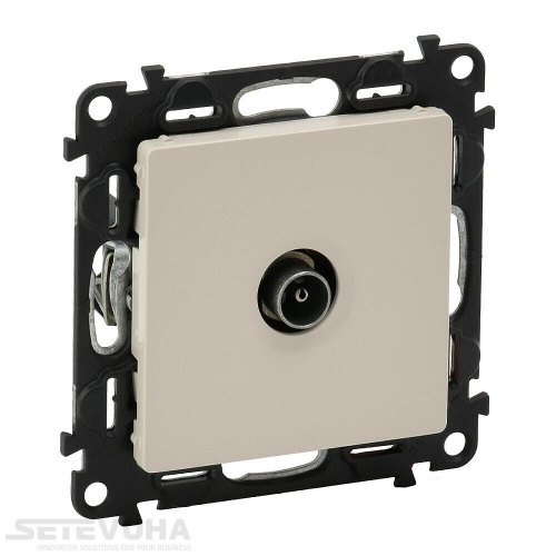 Розетка телевізійна Legrand Valena Life, штекер зірка, слонова кістка (753551)