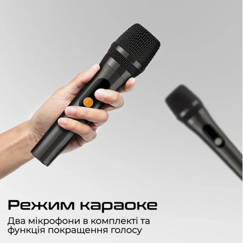 Портативна колонка HiFuture MusicBox 300, Black