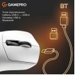 Миша бездротова GamePro Genesis Ranker (GM012W)