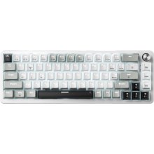 Клавіатура дротова GamePro Genesis Silverlight, механічна (MK116)