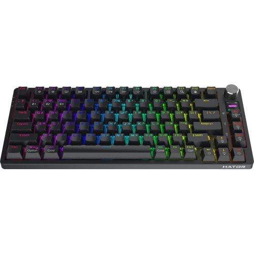 Клавіатура бездротова Hator Icefall PRO Wireless, TFT display, Black (HTK450UA)