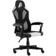 Крісло геймерське 1stPlayer P01, Black/White