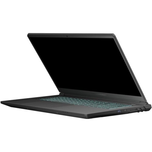 Ноутбук Thunderobot 911 X17, 17.3/Intel Core i7-13620H/32GB/SSD 1TB/GeForce RTX 5060, 8GB/DOS/чорний (911X17-i7136H56C1Q165MBD)