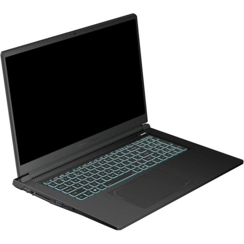 Ноутбук Thunderobot 911 X17, 17.3/Intel Core i7-13620H/32GB/SSD 1TB/GeForce RTX 5060, 8GB/DOS/чорний (911X17-i7136H56C1Q165MBD)
