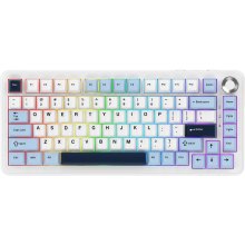 Клавіатура бездротова, ігрова Ajazz AK820 MAX PLUS, механічна, Daydream Switch, RGB (AK820MAX-DD-BWD)