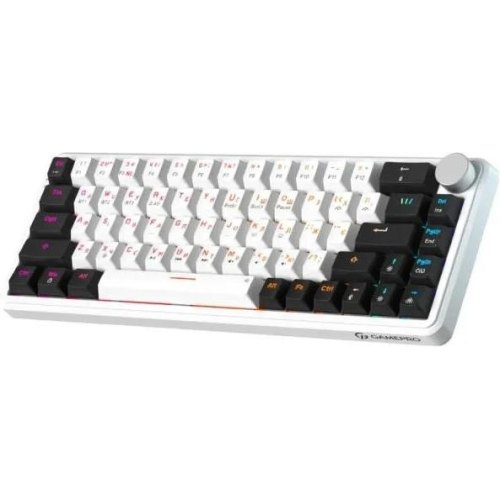 Клавіатура бездротова Gamepro Asgard Valhalla, механічна, 65% RGB (MK210W Pro)