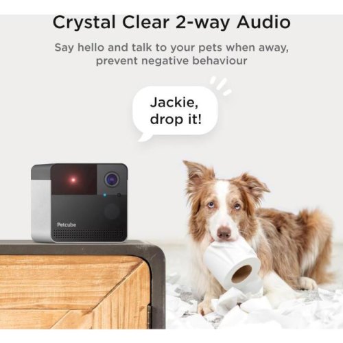 Камера відеоспостереження Petcube Play 2 (PP20US)