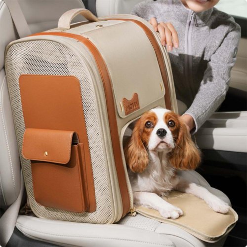 Рюкзак-переноска для тварин Mova Pet Backpack PB10 Pro (PPK10A)