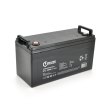 Акумуляторна батарея EUROPOWER EP12-100M8, AGM, 12V, 100Ah, Black, Q1