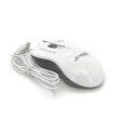 Миша дротова JEDEL M31, White, Q100