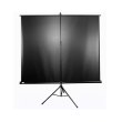 Екран мобільн. на тринозі ELITE SCREENS T113UWS1 113(1:1) 203,2X203,2 Black case