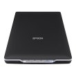 Сканер Epson Perfection V19 (B11B231401)